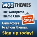 WooThemes