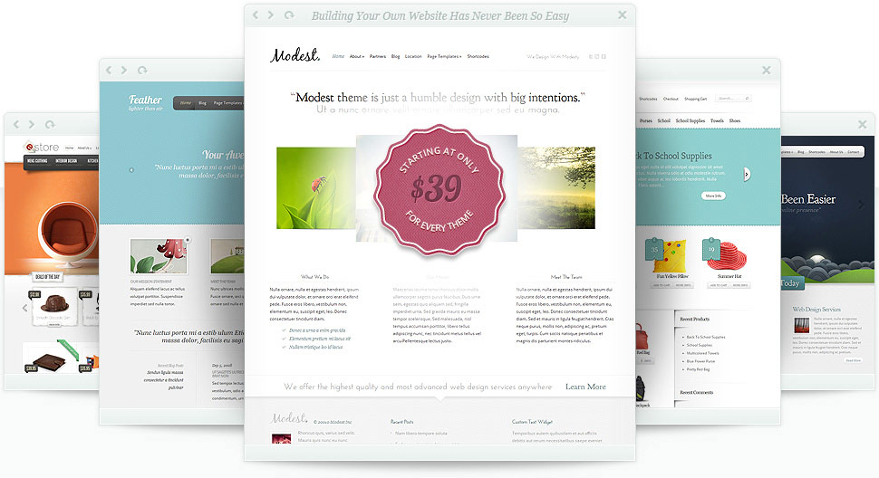 81 WordPress Themes for $39