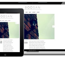 Boosan Theme