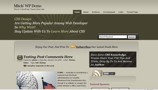 csstalk wordpress theme