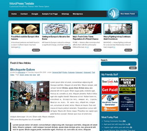 vibrantech wordpress theme