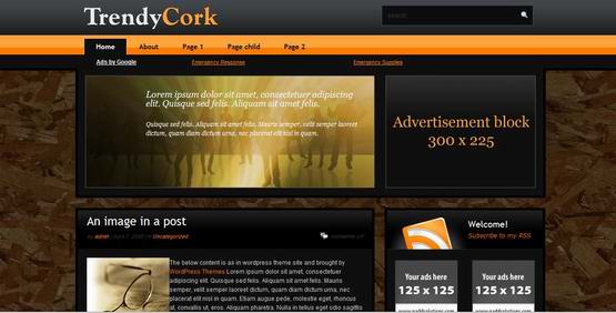 Trendy Cork ? Magazine Styled Wordpress Theme