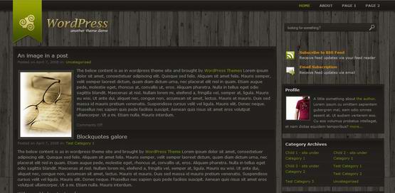 Retropolis ? 2 Column Wordpress Theme