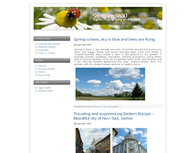 Lady Bugs Spring Garden WordPress Theme