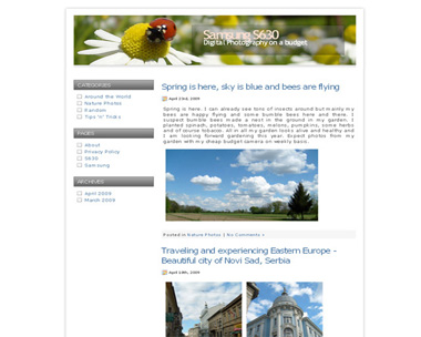 Lady Bugs Spring Garden Wordpress Theme