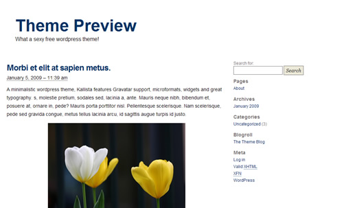 Kallista 1.0 ? A Quality Minimal Free WordPress Theme