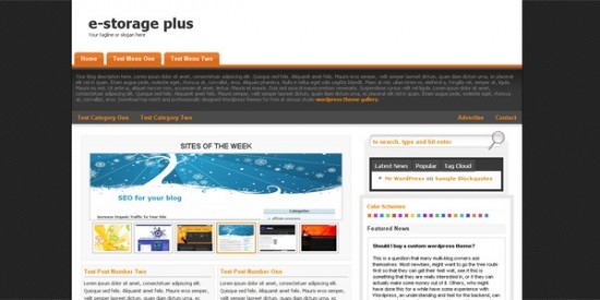 E-Storage Plus ? Smashing WordPress Theme