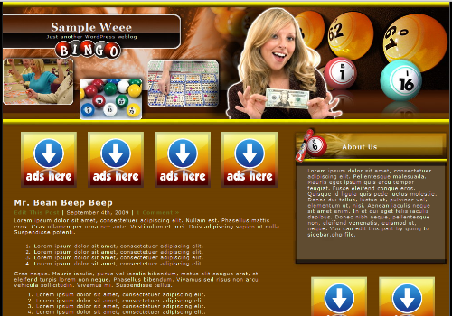Free Online Bingo Casino WordPress Theme