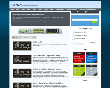 GenM 29 (v1.1)