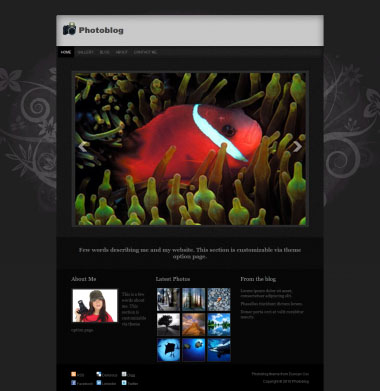 Photoblog Wordpress Theme