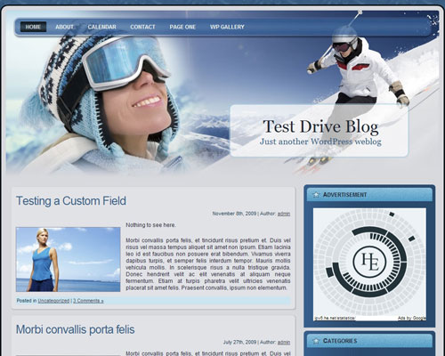 Skiing WP Theme