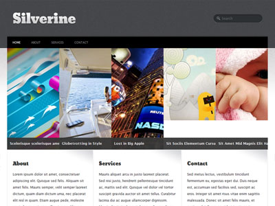 Silverine Screenshot