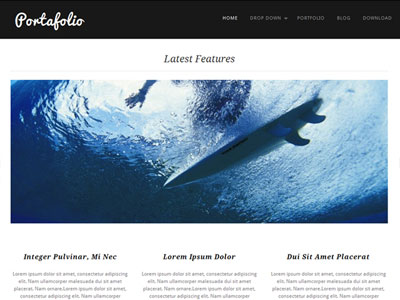 Portafolio Screenshot