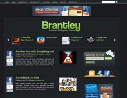 Wordpress Theme