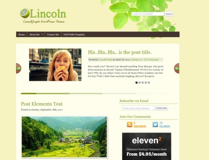 Wordpress Theme