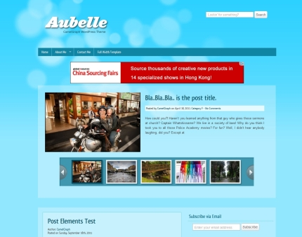 Wordpress Theme