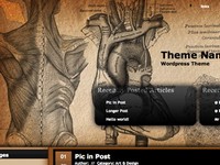 Grey's Anatomy Free Wordpress Template