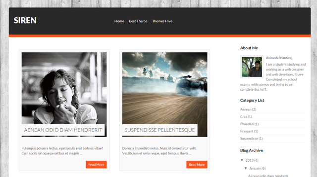 wordpress theme