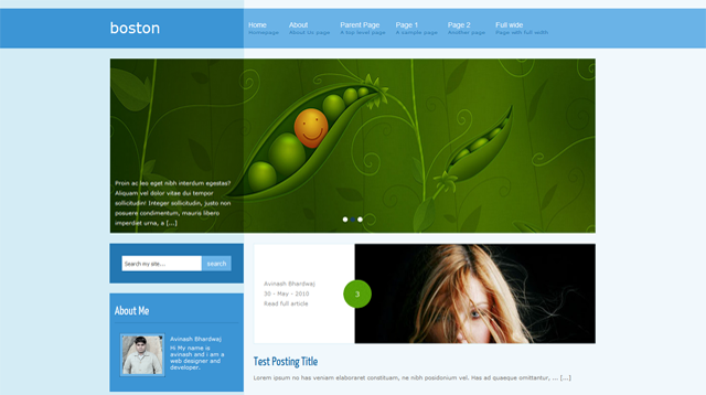 wordpress theme