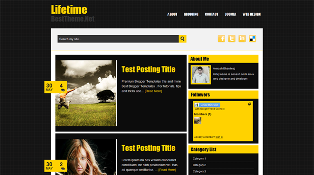 wordpress theme