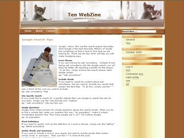 Free Wordpress theme - catzy
